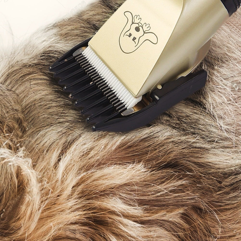 Dog grooming kit