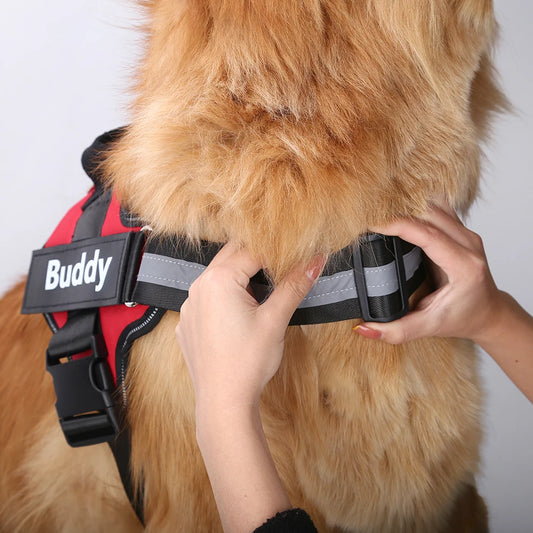 Breathable Pet Harness With Name