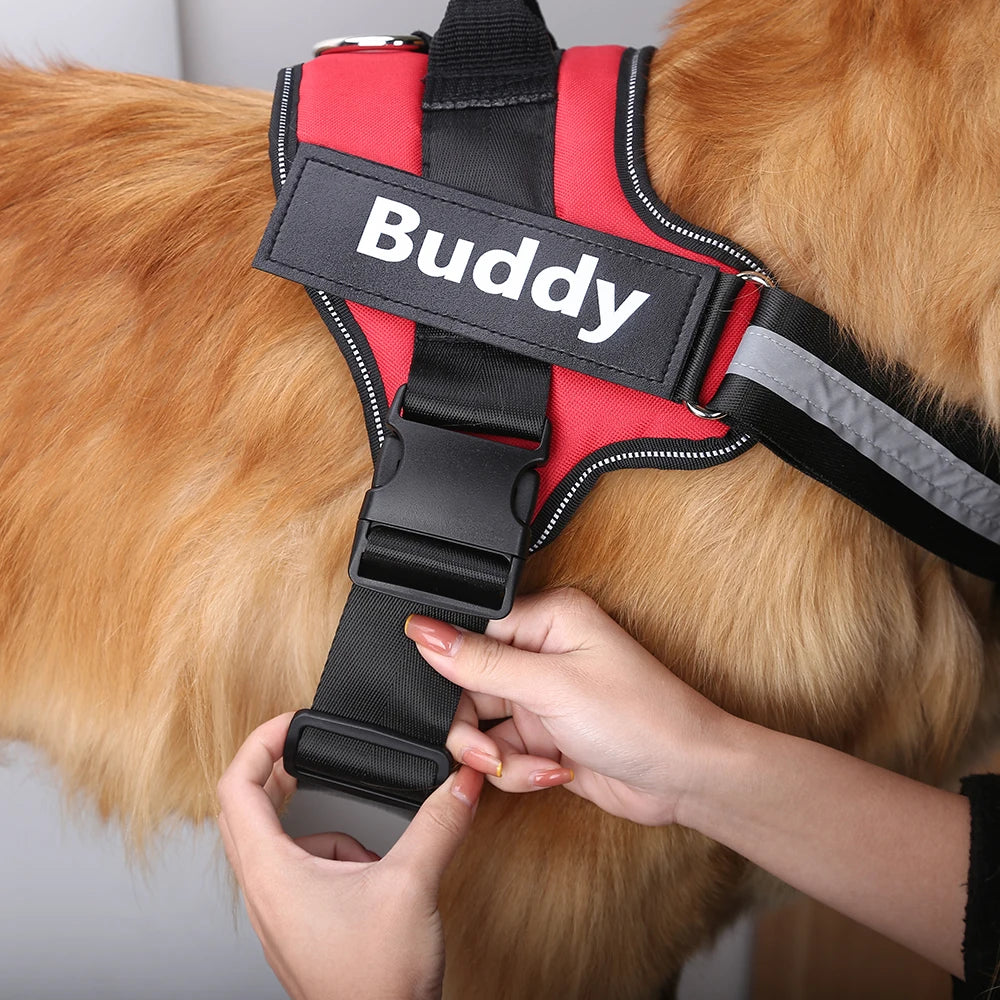 Breathable Pet Harness With Name